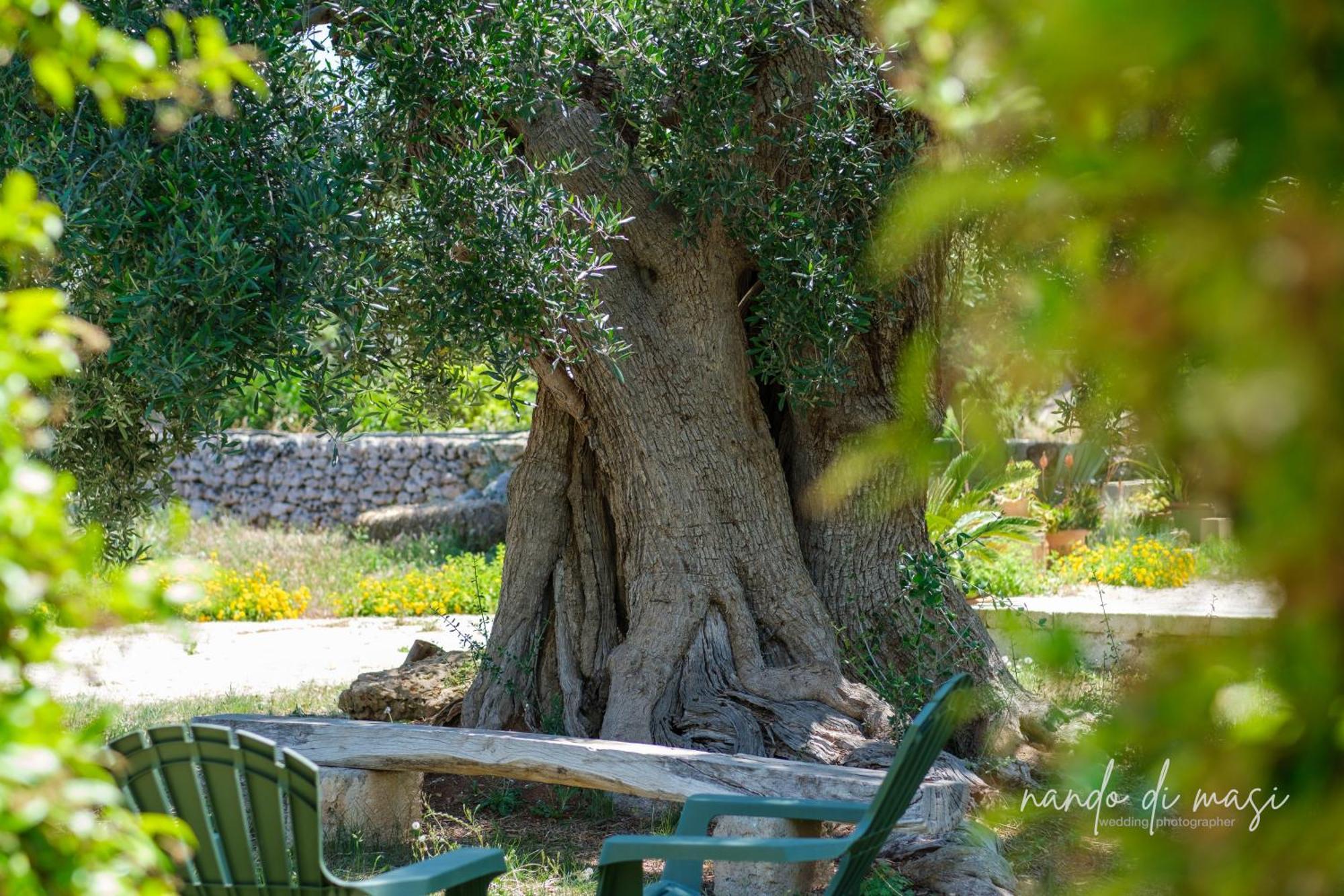 Rooms Masseria Giangrande Polignano a Mare Luaran gambar