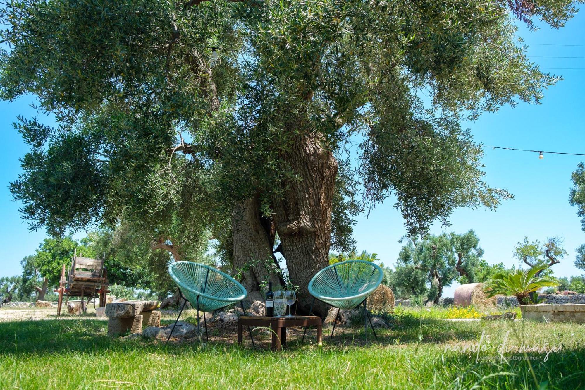 Rooms Masseria Giangrande Polignano a Mare Luaran gambar